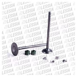 [VAL-031] VALVULAS CALIDAD GOLD (IRON BOX) (ADMISION Y.