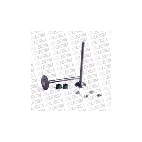 [VAL-031] VALVULAS CALIDAD GOLD (IRON BOX) (ADMISION Y.