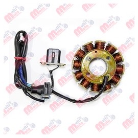 [JE351005] ESTATOR COMPLETO 12 POLE D102C BAJAJ DIS125 ST, DIS125 M