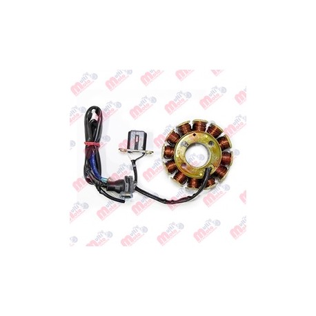 [JE351005] ESTATOR COMPLETO 12 POLE D102C BAJAJ DIS125 ST, DIS125 M