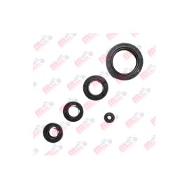 [1001319] KIT RETENES DE MOTOR FT125/150/200 MEK