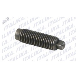 [E04060005] TORNILLO DE AJUSTE DE VALVULAS FT150, TITANIO, DM150, 150Z