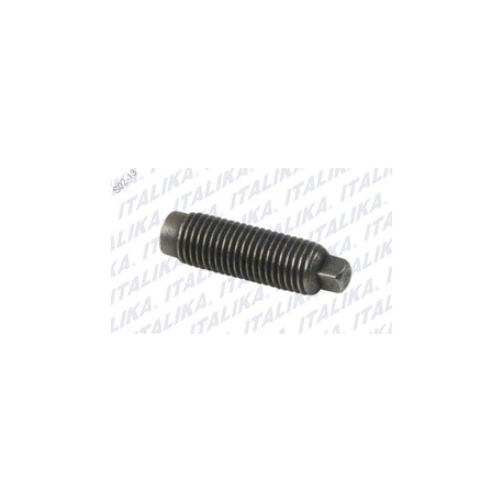 [E04060005] TORNILLO DE AJUSTE DE VALVULAS FT150, TITANIO, DM150, 150Z