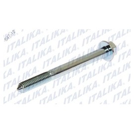 [F03020075] TORNILLO PARRILLA, SPORT FT125 SPORT, XFT125, FT125 NEW SPORT, FT125 CLASICA, FT125 CHAKARERA