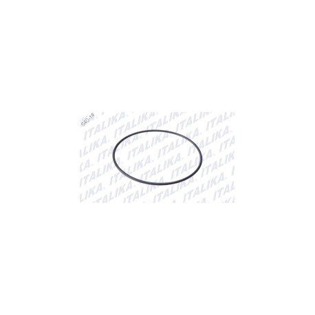 [E02030115] O-RING D75 d2.