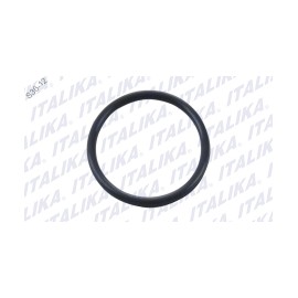 [E11030023] O-RING RC150