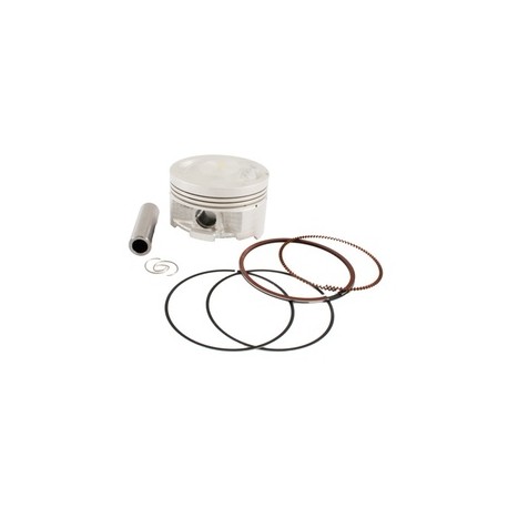 [29-5365-001] SET PISTON COMPLETO IT FORZA150 GT 09 0.