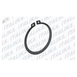 [F15040110] ANILLO SEGURO RT180, FT180, FT200