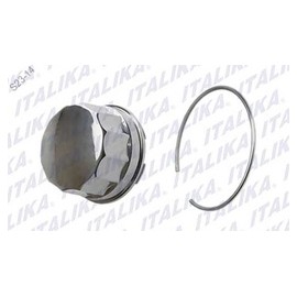 [F14030124] TAPON DECORATIVO RIN ATV250 CON REVERSA