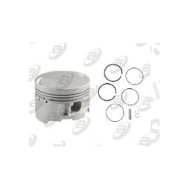 [PIC-F15] PISTON COMPLETO F100 STD 125-Z