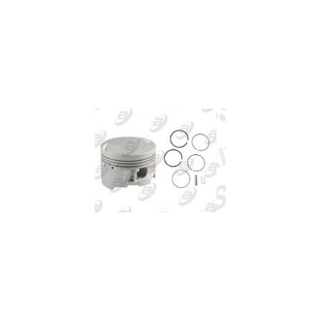 [PIC-F15] PISTON COMPLETO F100 STD 125-Z