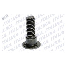 [F14050003] TORNILLO DISCO DE FRENO M8 X25 RC150 GT, 250Z